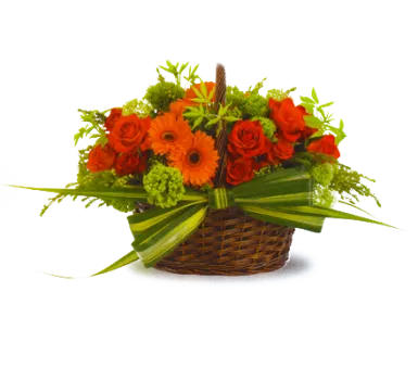 Botanical Bow