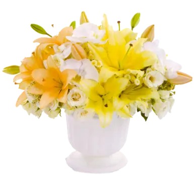 Fragrant Offering